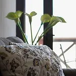 アパート Eden Duplex Adeje Palace *